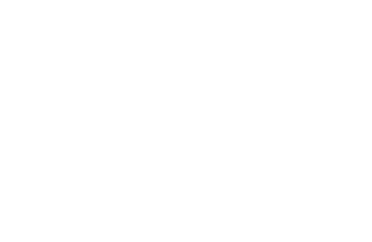 cropped-SCR-Logo-DSWredo-fullwhite.png